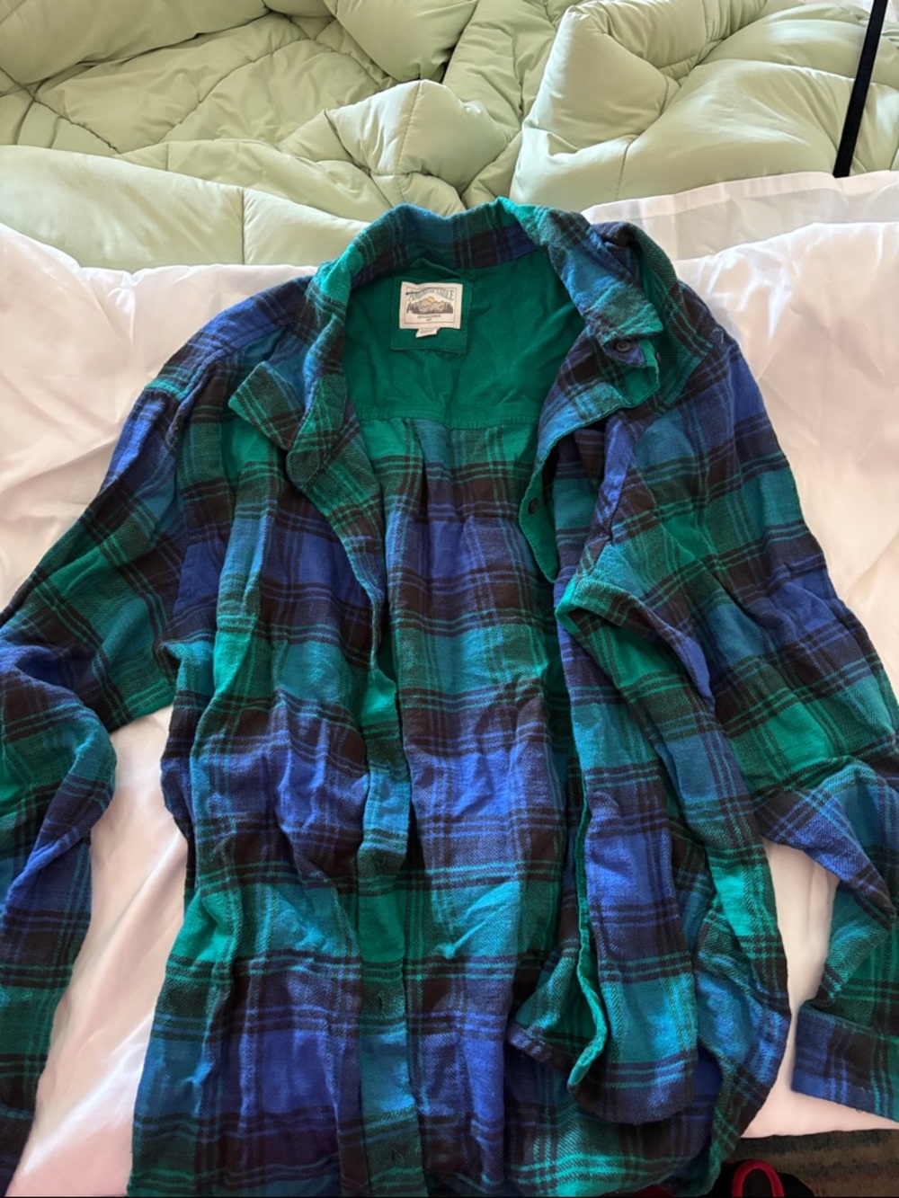 American Eagle Outfitters Green and Blue Plaid Button-Down Shirt